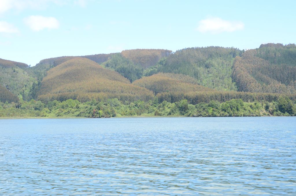 DSC_2681.JPG