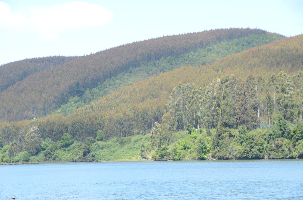 DSC_2684.JPG