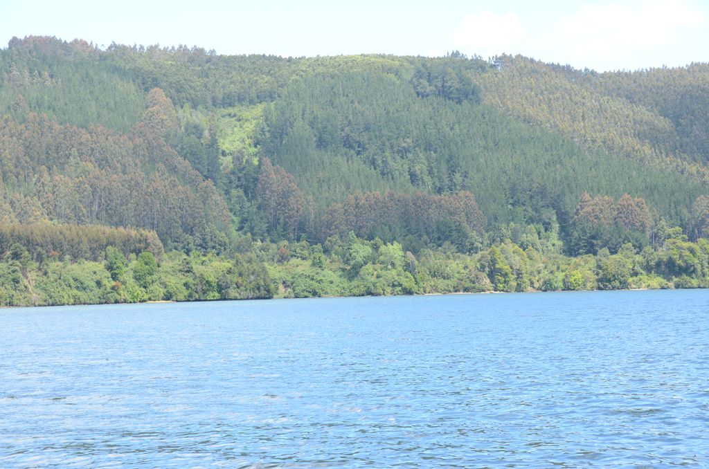 DSC_2687.JPG