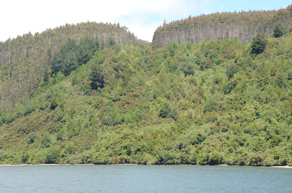 DSC_2701.JPG