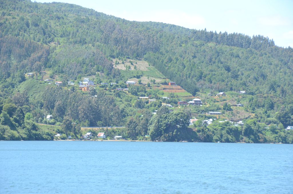 DSC_2731.JPG