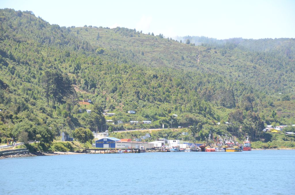 DSC_2736.JPG
