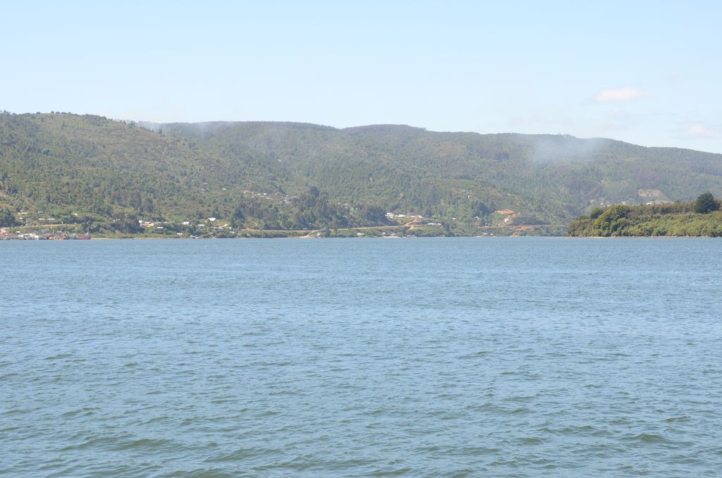 DSC_2763.JPG