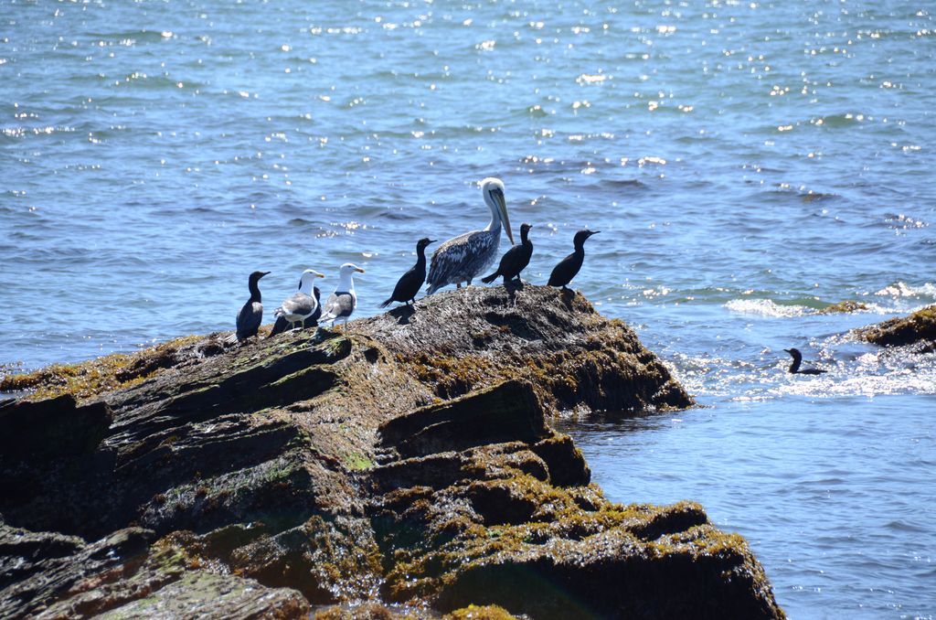 DSC_2777.JPG