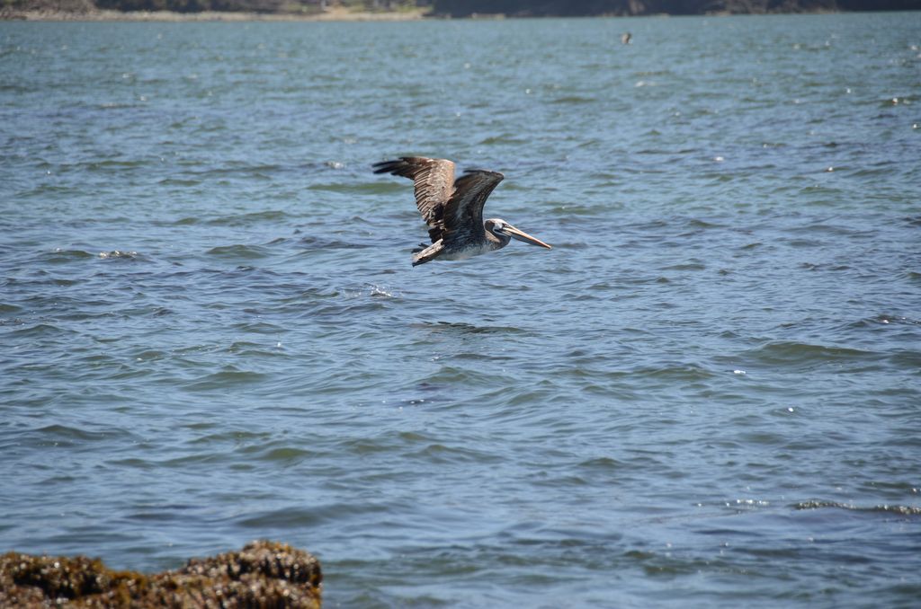 DSC_2792.JPG