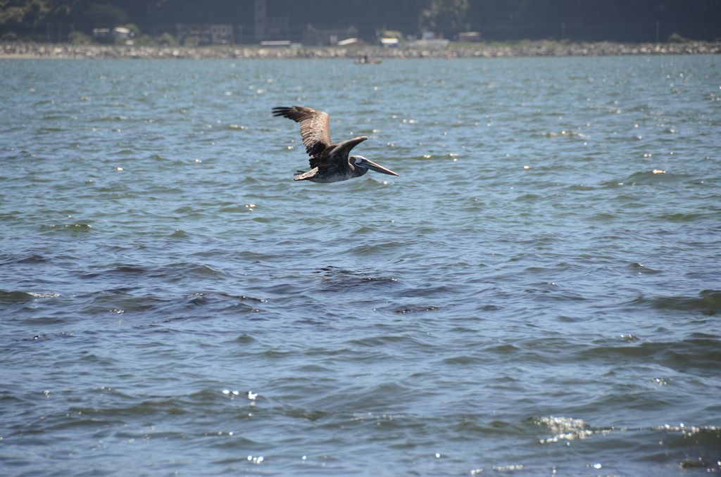 DSC_2794.JPG