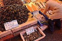 DSC_2412.JPG DSC_2412.JPG