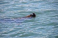 DSC_2428.JPG DSC_2428.JPG