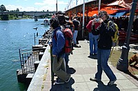 DSC_2430.JPG DSC_2430.JPG