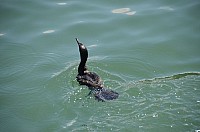 DSC_2442.JPG DSC_2442.JPG