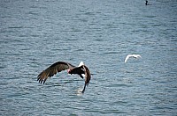 DSC_2445.JPG DSC_2445.JPG