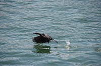 DSC_2448.JPG DSC_2448.JPG