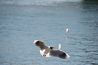 DSC_2451.JPG DSC_2451.JPG