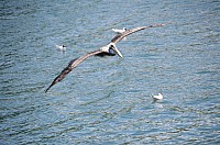 DSC_2456.JPG DSC_2456.JPG