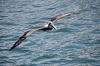 DSC_2457.JPG DSC_2457.JPG