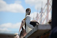DSC_2464.JPG DSC_2464.JPG