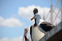 DSC_2474.JPG DSC_2474.JPG