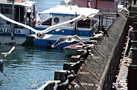 DSC_2483.JPG DSC_2483.JPG