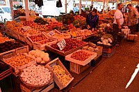 DSC_2503.JPG DSC_2503.JPG