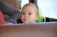 DSC_2564.JPG DSC_2564.JPG