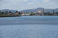 DSC_2584.JPG DSC_2584.JPG