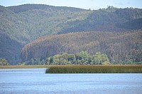 DSC_2613.JPG DSC_2613.JPG