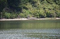 DSC_2632.JPG DSC_2632.JPG