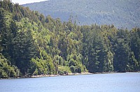 DSC_2633.JPG DSC_2633.JPG