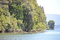 DSC_2647.JPG DSC_2647.JPG