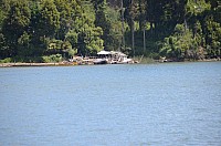 DSC_2650.JPG DSC_2650.JPG