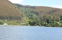 DSC_2655.JPG DSC_2655.JPG