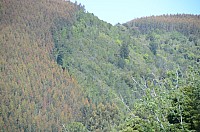 DSC_2660.JPG DSC_2660.JPG