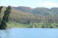 DSC_2665.JPG DSC_2665.JPG