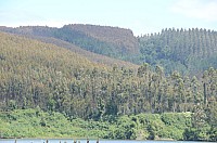 DSC_2666.JPG DSC_2666.JPG