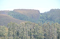 DSC_2671.JPG DSC_2671.JPG