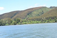 DSC_2675.JPG DSC_2675.JPG