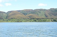 DSC_2681.JPG DSC_2681.JPG