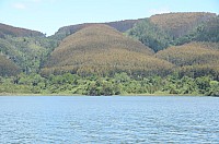 DSC_2682.JPG DSC_2682.JPG