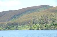 DSC_2684.JPG DSC_2684.JPG