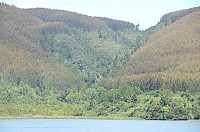 DSC_2686.JPG DSC_2686.JPG