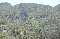 DSC_2692.JPG DSC_2692.JPG