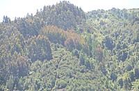 DSC_2695.JPG DSC_2695.JPG