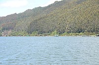 DSC_2699.JPG DSC_2699.JPG