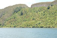 DSC_2700.JPG DSC_2700.JPG