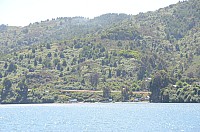 DSC_2710.JPG DSC_2710.JPG