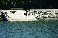 DSC_2725.JPG DSC_2725.JPG