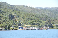 DSC_2736.JPG DSC_2736.JPG