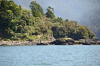DSC_2748.JPG DSC_2748.JPG