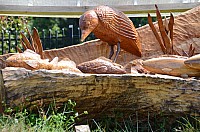 DSC_2765.JPG DSC_2765.JPG