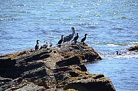 DSC_2777.JPG DSC_2777.JPG
